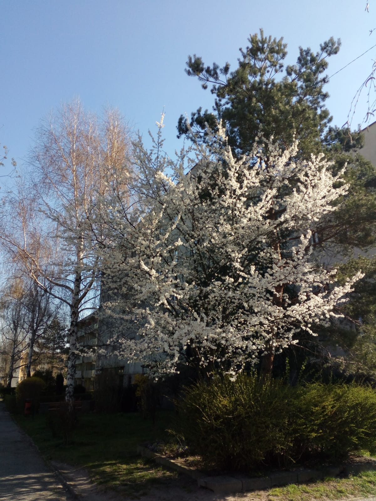 IMG 20200408 WA0007