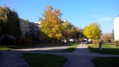 img_20151028_110514.jpg