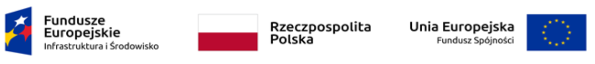 logo europejskie 