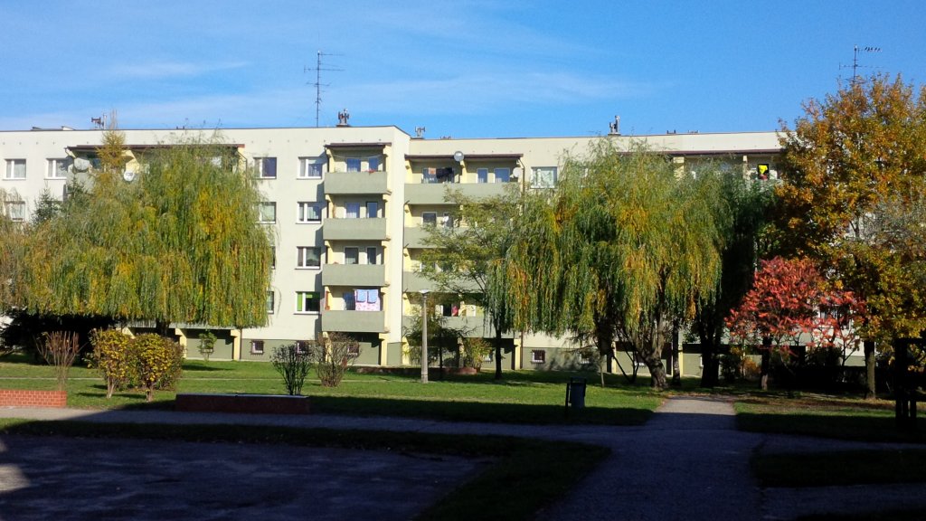 Zdjęcie