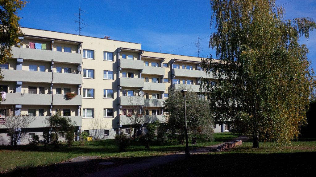 Zdjęcie