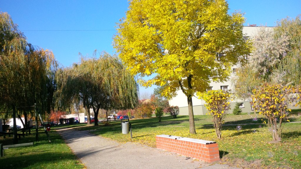 Zdjęcie