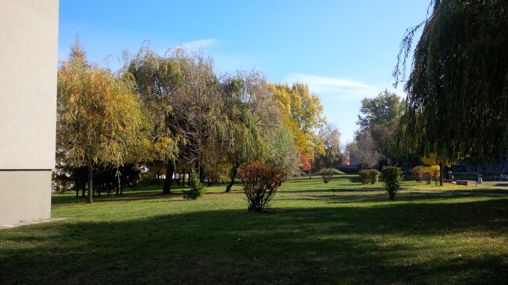 Zdjęcie