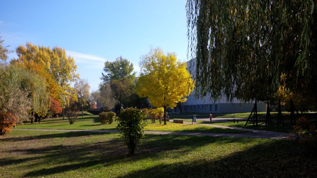 Zdjęcie