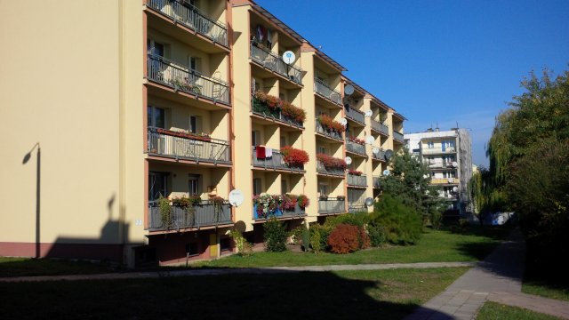 Zdjęcie