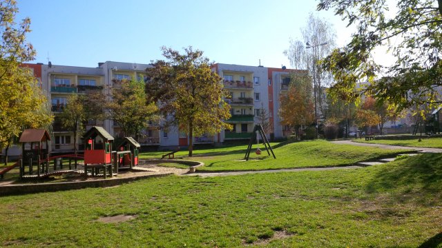 Zdjęcie